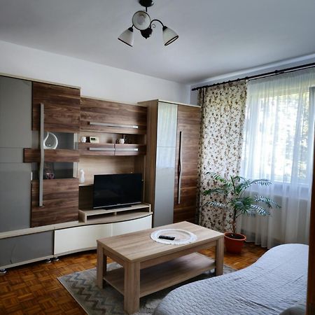 Studio Bulevardul Victoriei 布拉索夫 外观 照片