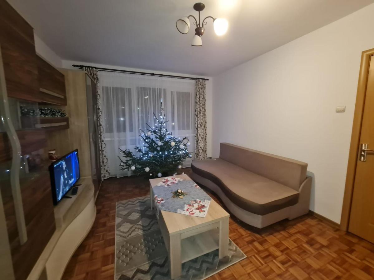 Studio Bulevardul Victoriei 布拉索夫 外观 照片
