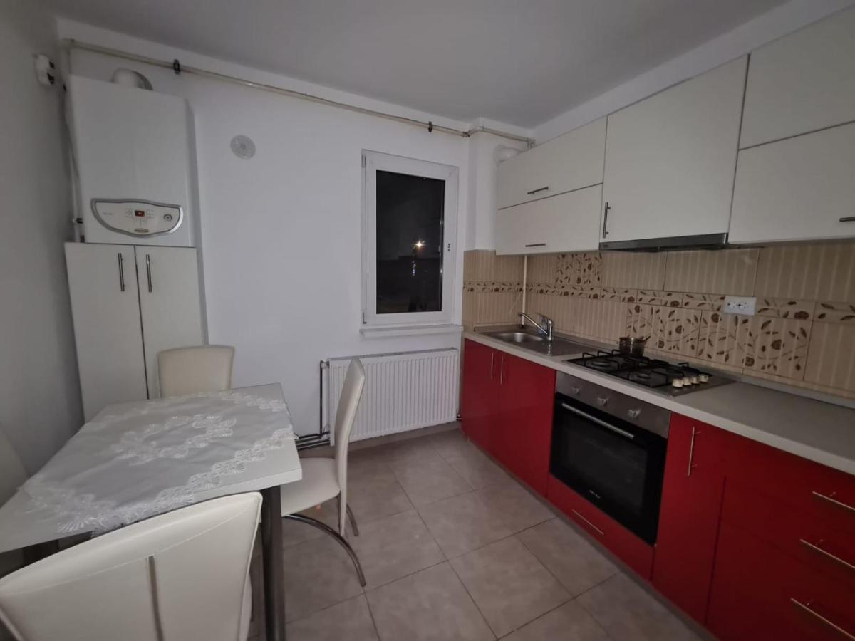 Studio Bulevardul Victoriei 布拉索夫 外观 照片