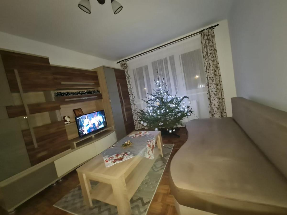 Studio Bulevardul Victoriei 布拉索夫 外观 照片