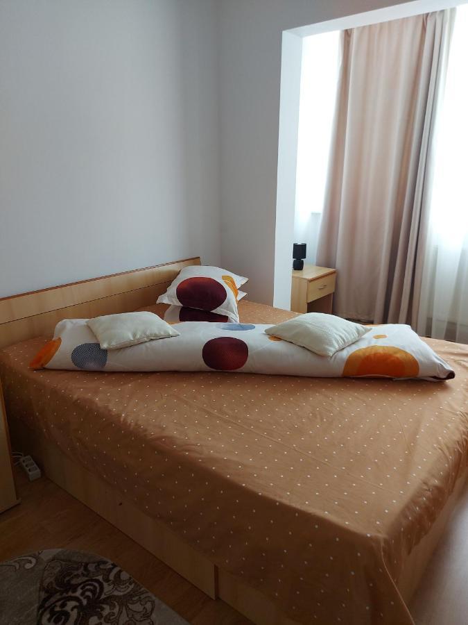 Studio Bulevardul Victoriei 布拉索夫 外观 照片