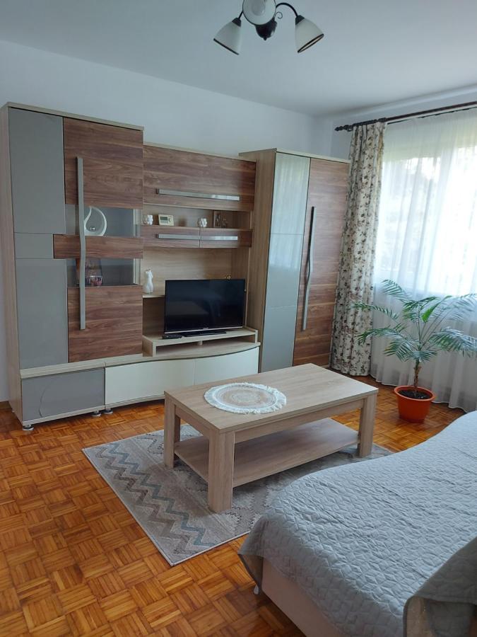 Studio Bulevardul Victoriei 布拉索夫 外观 照片
