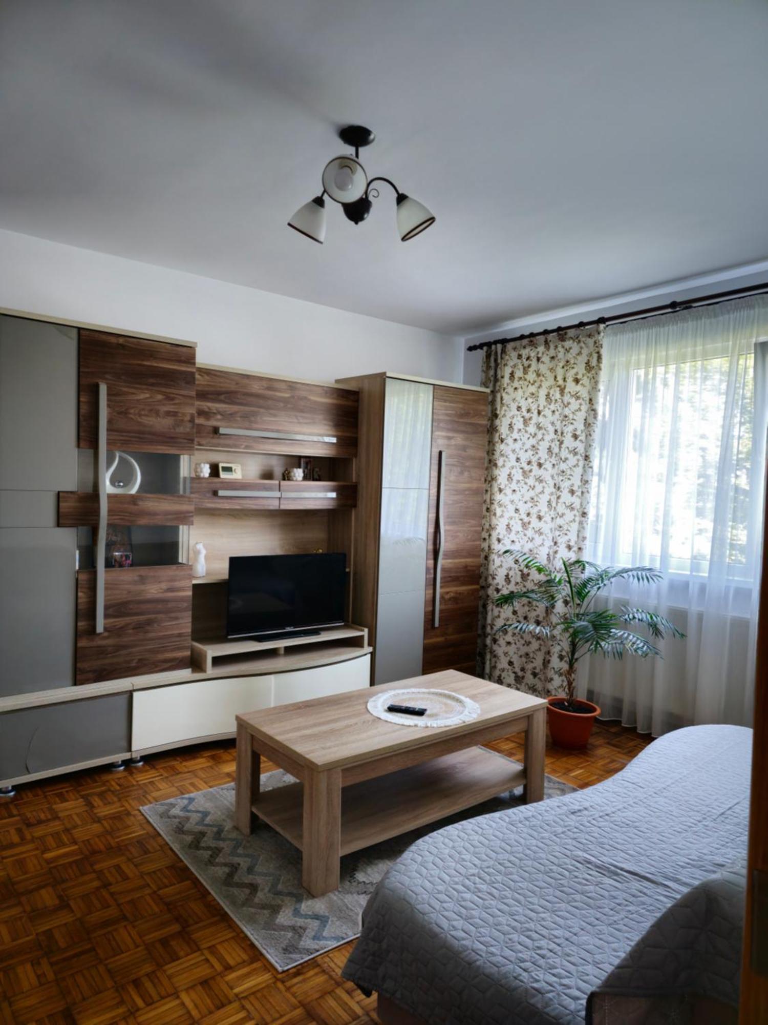 Studio Bulevardul Victoriei 布拉索夫 外观 照片